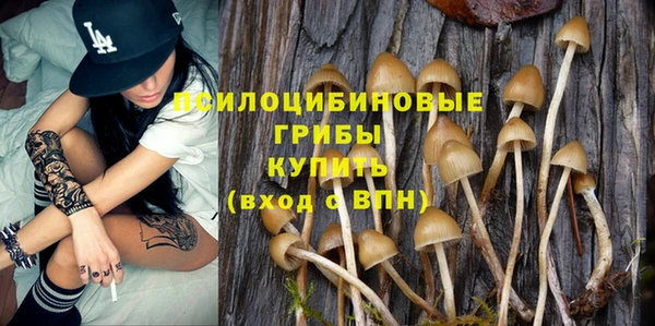 mdpv Арсеньев