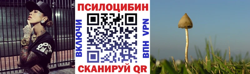 Псилоцибиновые грибы мицелий  ссылка на мегу ссылки  Сураж 