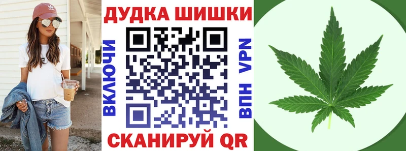 Бошки марихуана Amnesia  наркота  Сураж 